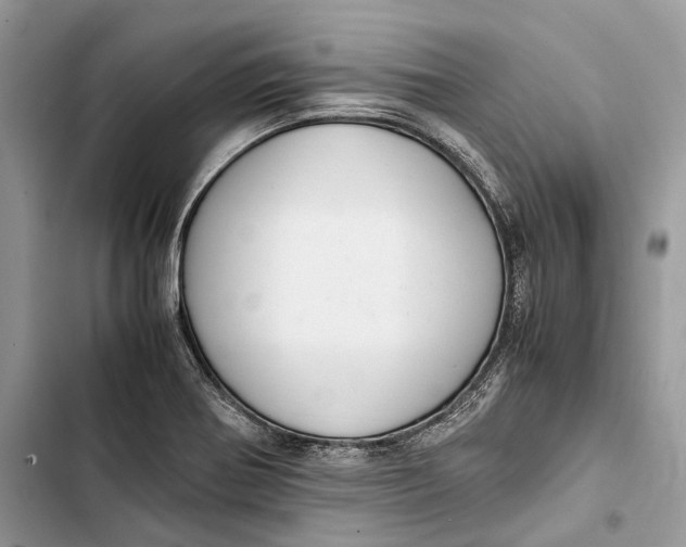 X0000103481370200810031533