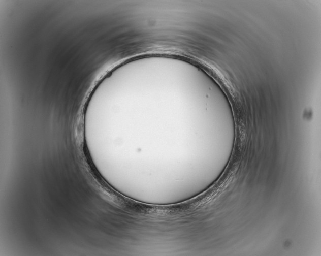 X0000103481371200810031533