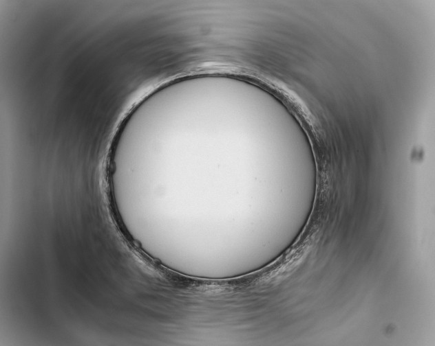 X0000103481373200810031533