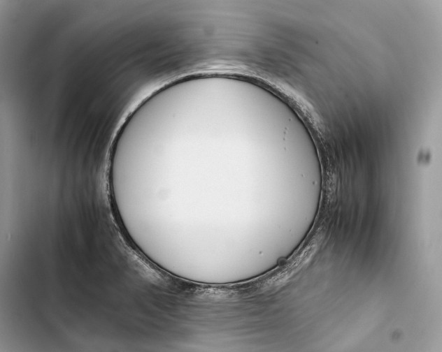 X0000103481374200810031533