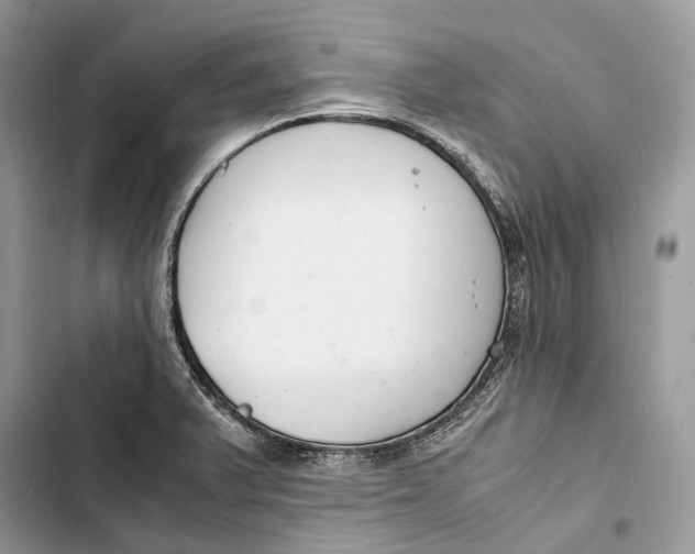 X0000103481375200810031533