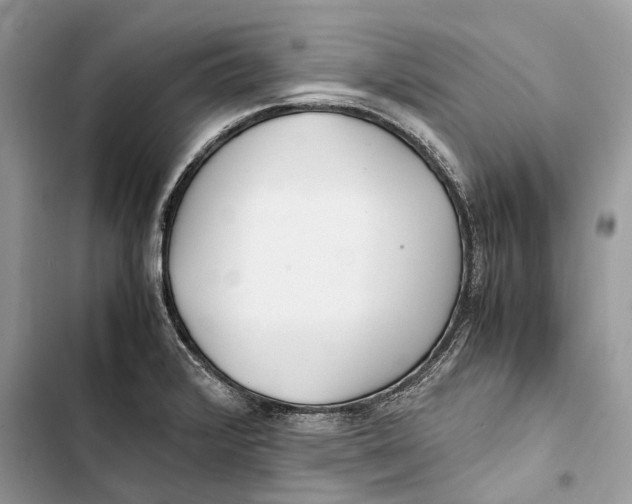 X0000103481376200810031533