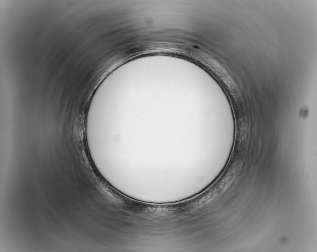 X0000103481377200810031533