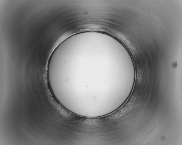 X0000103481378200810031533