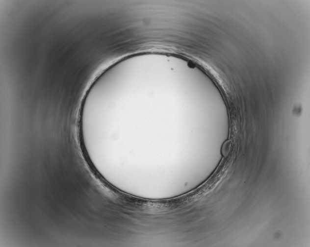 X0000103481379200810031533