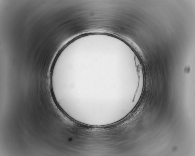 X0000103481380200810031533