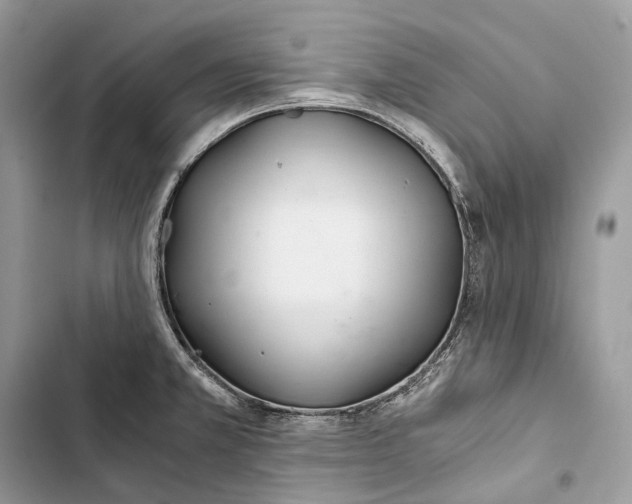 X0000103481381200810031533