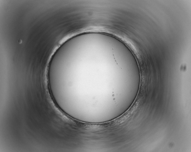 X0000103481382200810031533