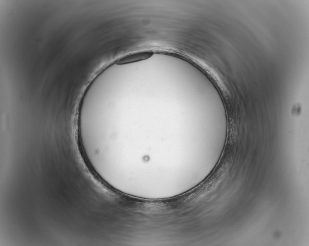 X0000103481383200810031533