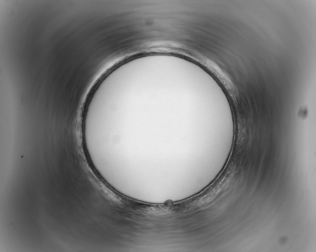 X0000103481384200810031533