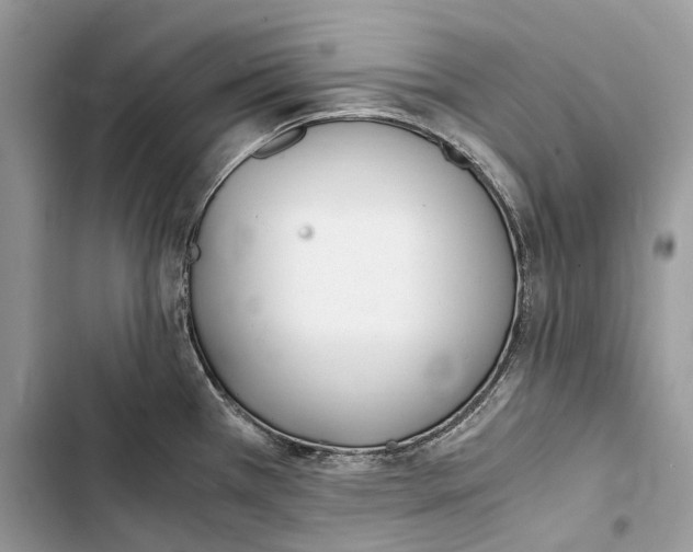 X0000103481385200810031533