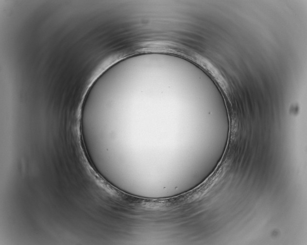 X0000103481386200810031533