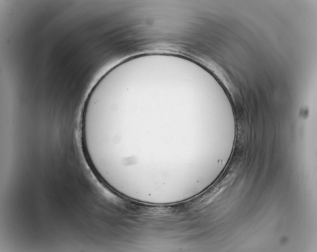 X0000103481387200810031533