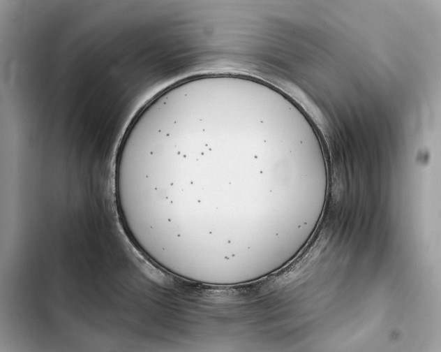 X0000103481388200810031533