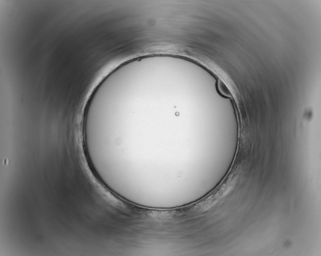 X0000103481389200810031533