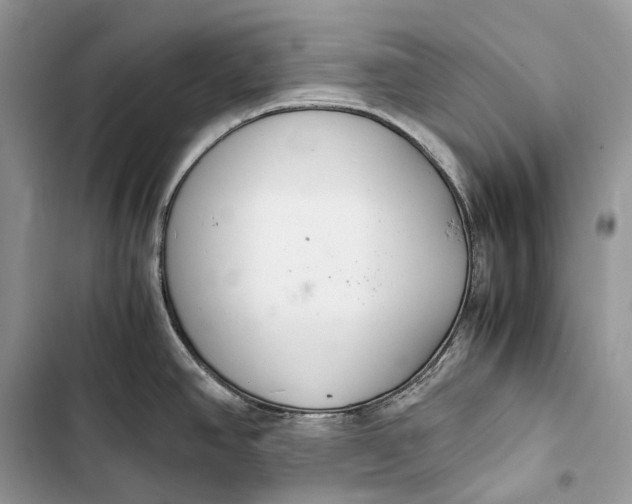 X0000103481390200810031533