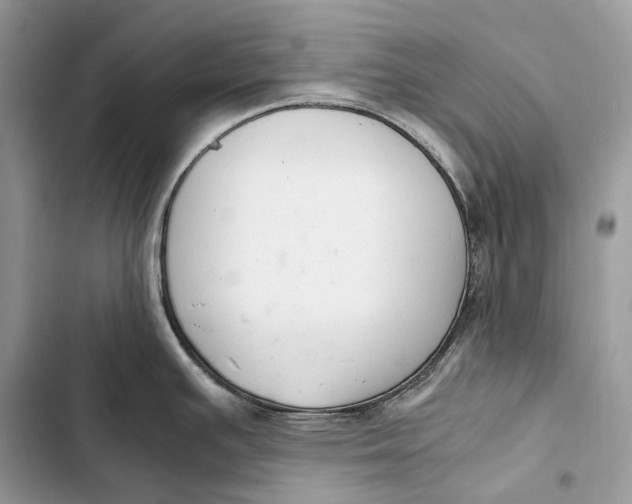 X0000103481391200810031533