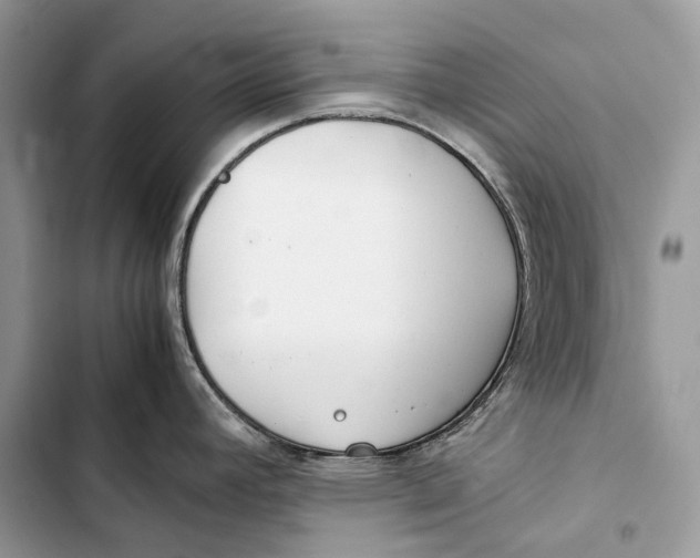 X0000103481392200810031533