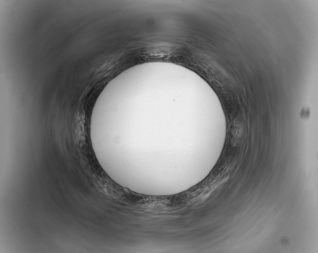 X0000103481394200810031532