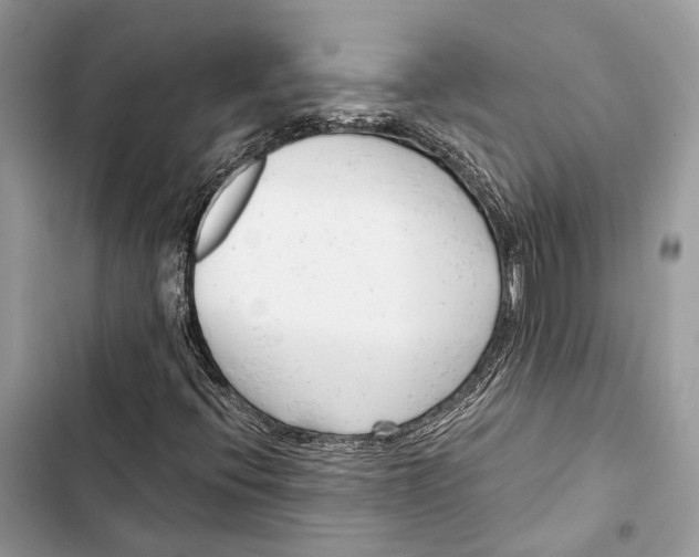 X0000103481396200810031532