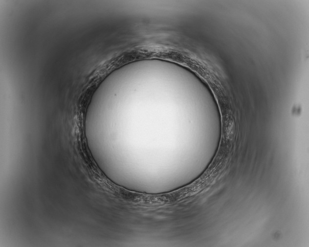 X0000103481397200810031532