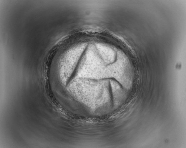 X0000103481399200810031532