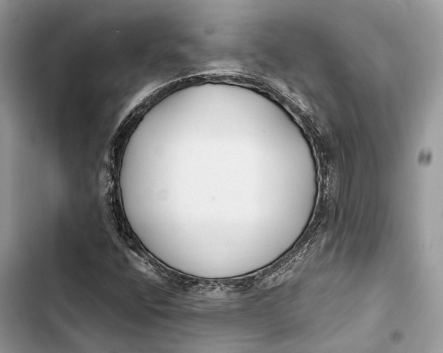 X0000103481400200810031532