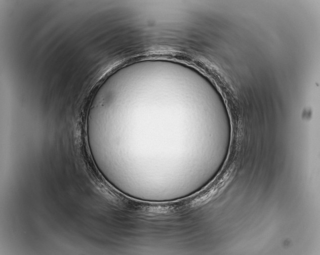 X0000103481401200810031532