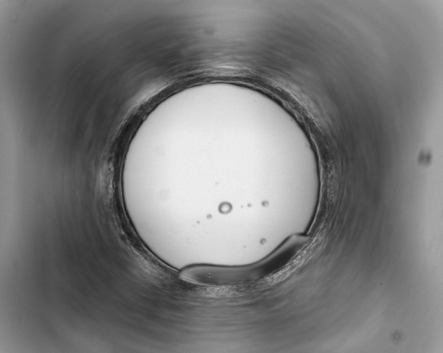 X0000103481402200810031532