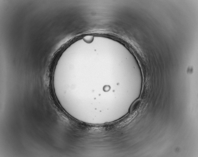 X0000103481406200810031532