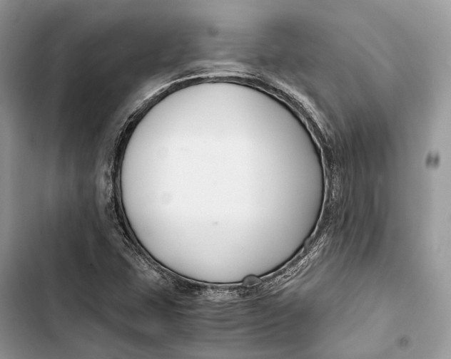 X0000103481407200810031532