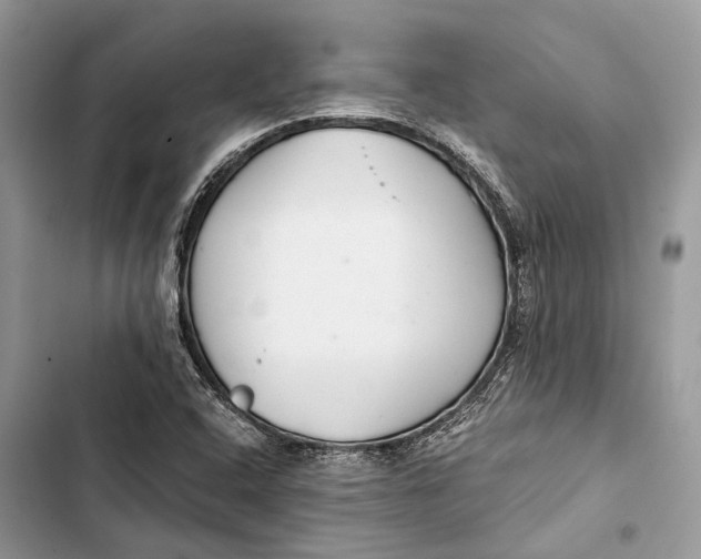 X0000103481408200810031532