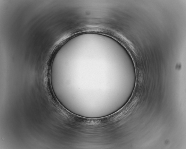 X0000103481411200810031532