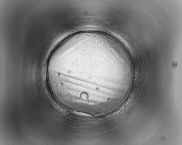 X0000103481413200810031532