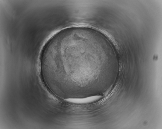 X0000103481414200810031532