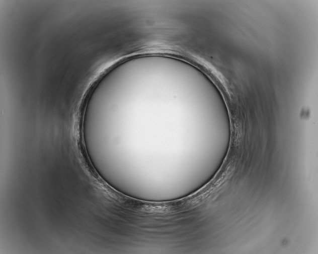 X0000103481415200810031532