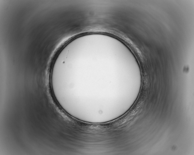 X0000103481416200810031533