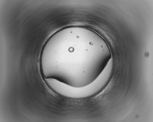 X0000103481417200810031533