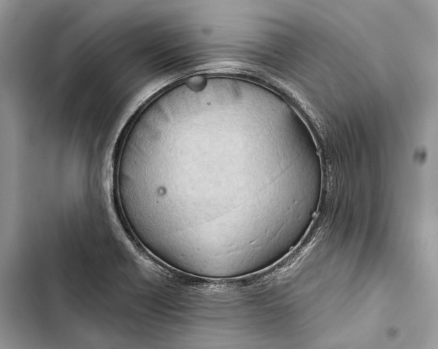 X0000103481418200810031533