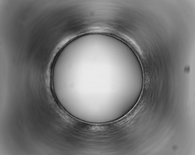 X0000103481419200810031533