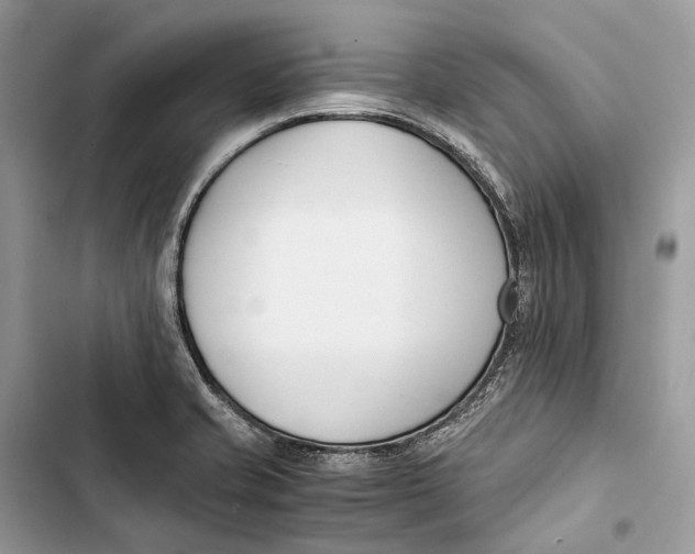 X0000103481421200810031533