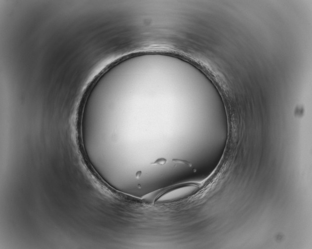 X0000103481422200810031533