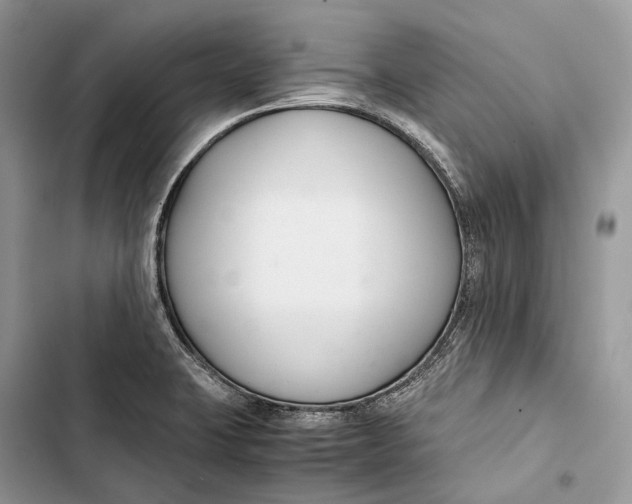 X0000103481423200810031533