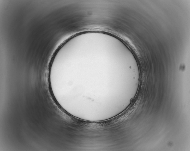 X0000103481424200810031533