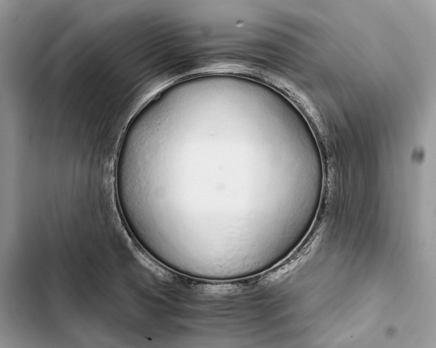 X0000103481425200810031533