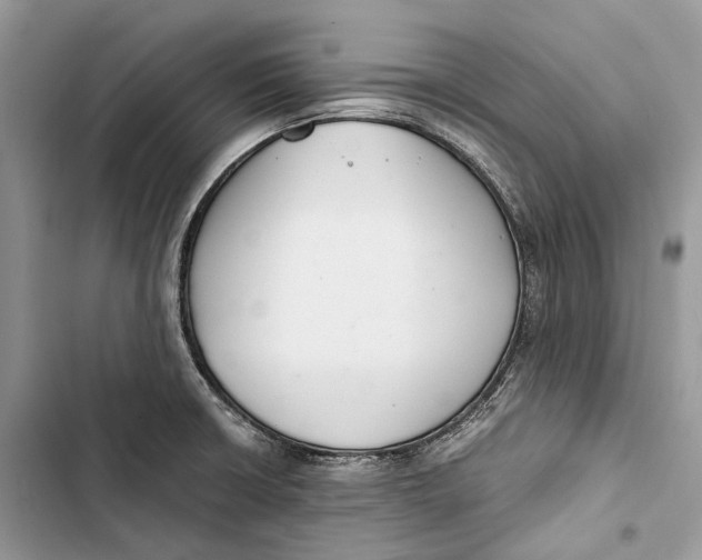 X0000103481426200810031533