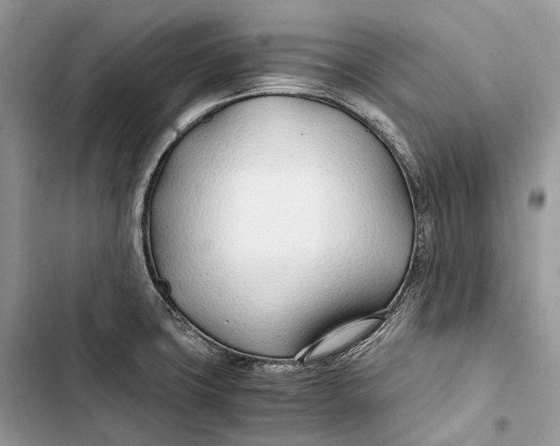 X0000103481427200810031533