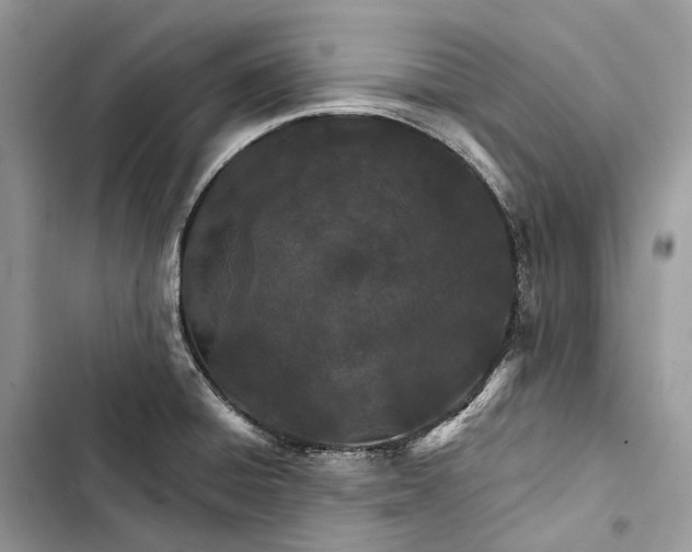 X0000103481428200810031533