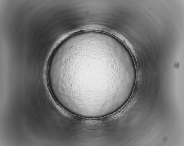 X0000103481429200810031533