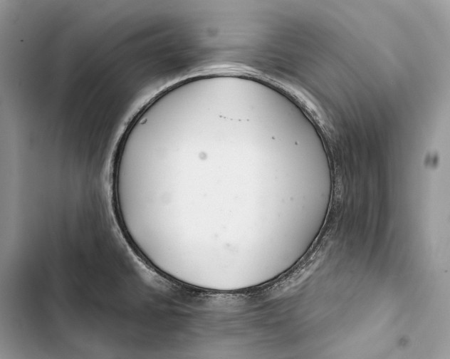 X0000103481430200810031533